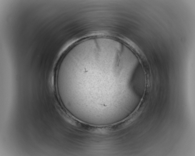 X0000115681078200911191049