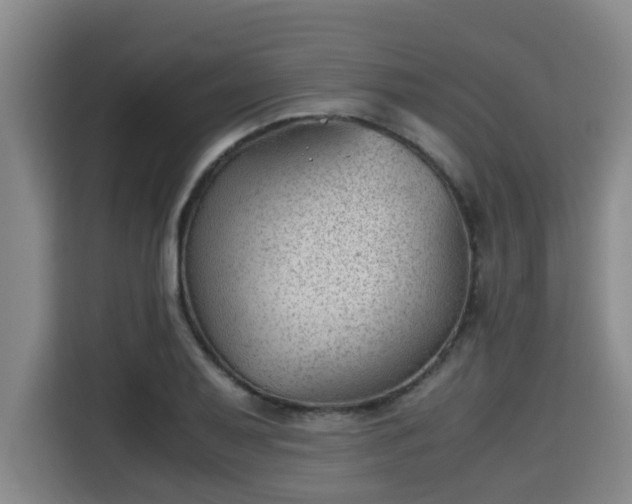 X0000115681079200911191049