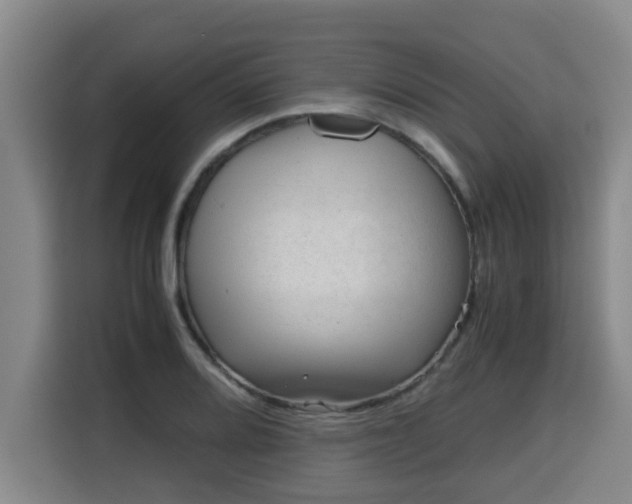 X0000115681080200911191049