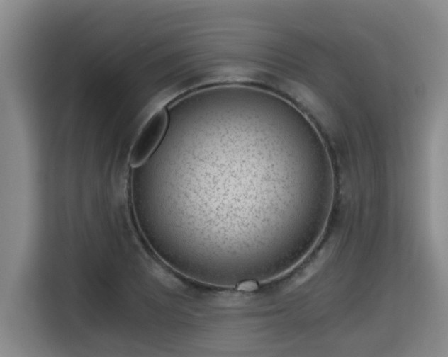 X0000115681081200911191049