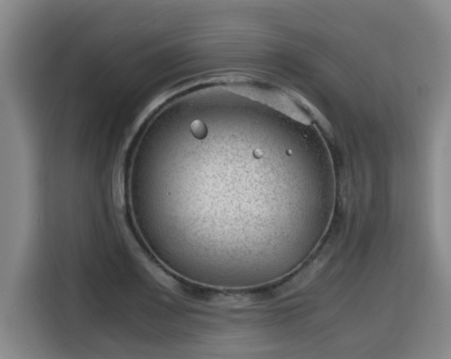 X0000115681083200911191049