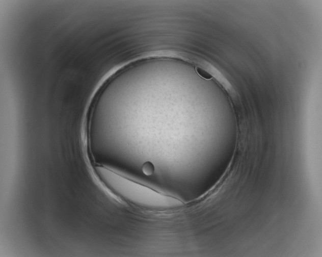 X0000115681084200911191049