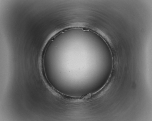 X0000115681085200911191049