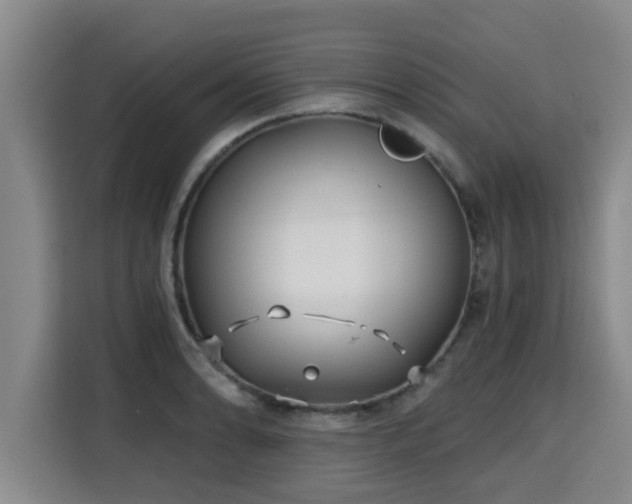 X0000115681086200911191049