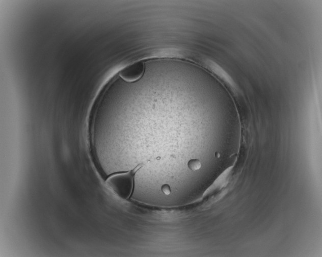 X0000115681087200911191049