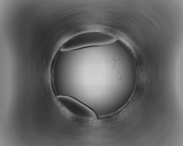 X0000115681088200911191049