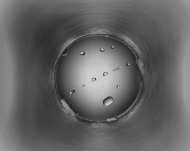 X0000115681089200911191049