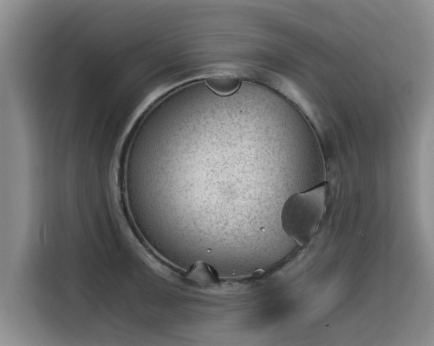 X0000115681091200911191049