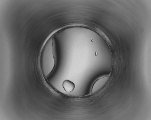 X0000115681092200911191049