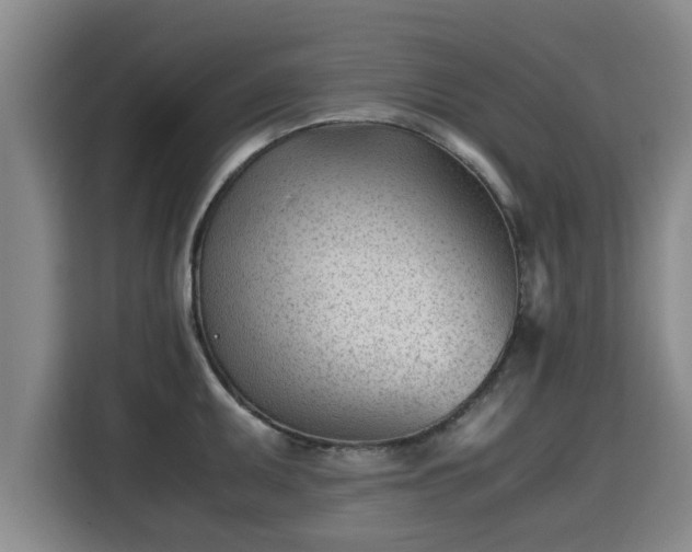 X0000115681095200911191049