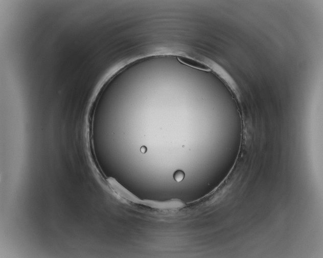 X0000115681096200911191049