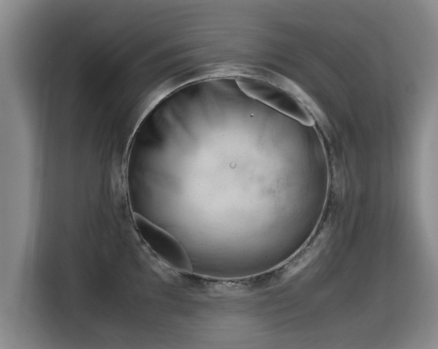 X0000115681097200911191049