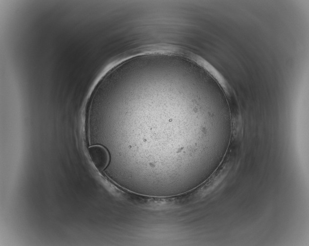 X0000115681099200911191049