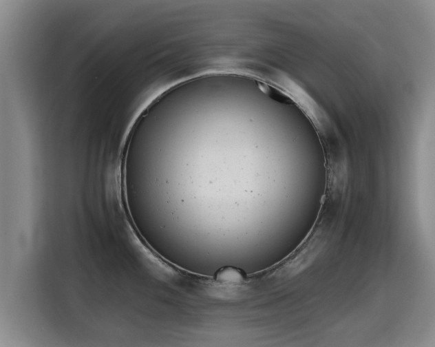 X0000115681100200911191049