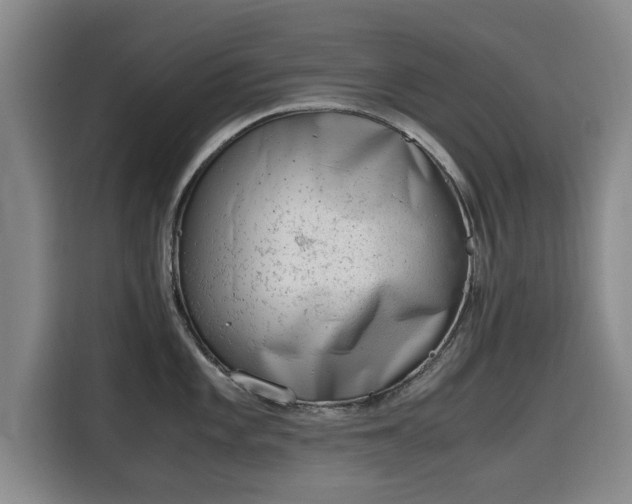 X0000115681101200911191049