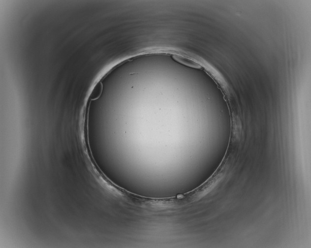 X0000115681102200911191049