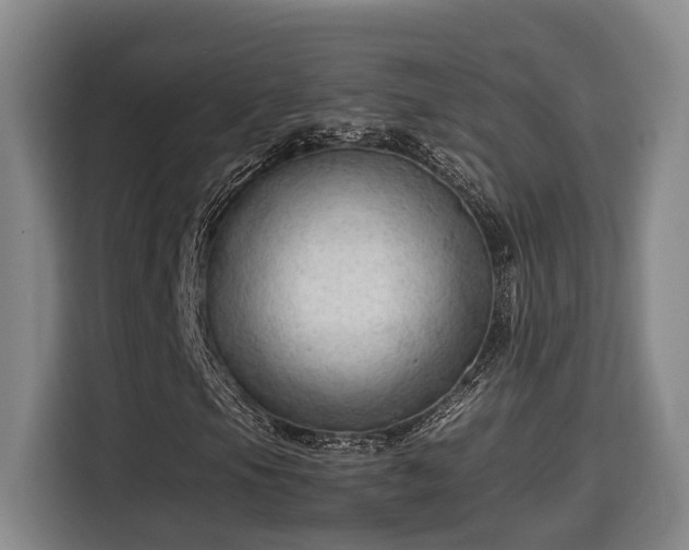 X0000115681105200911191048