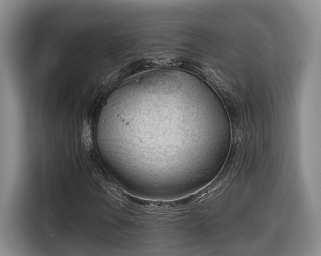 X0000115681106200911191048