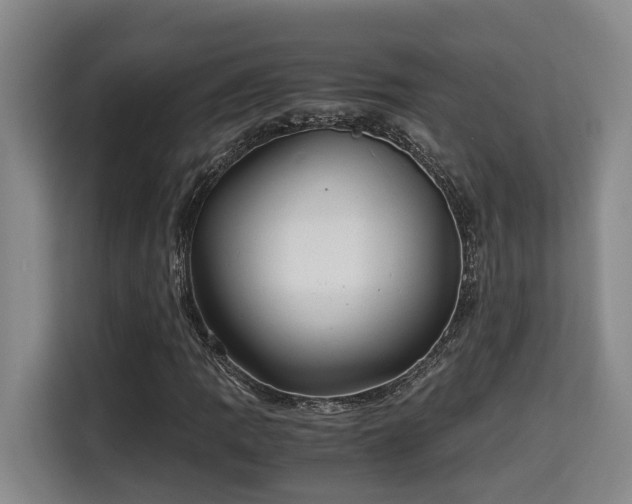 X0000115681109200911191048