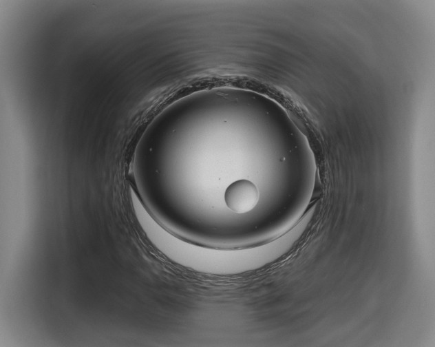 X0000115681110200911191048