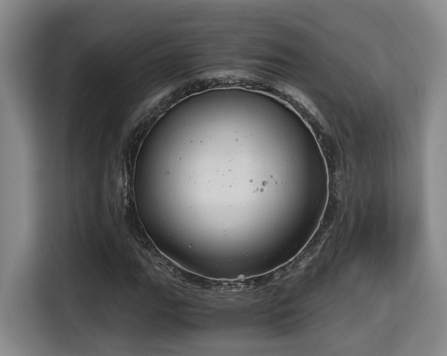 X0000115681111200911191048