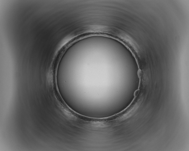 X0000115681114200911191048