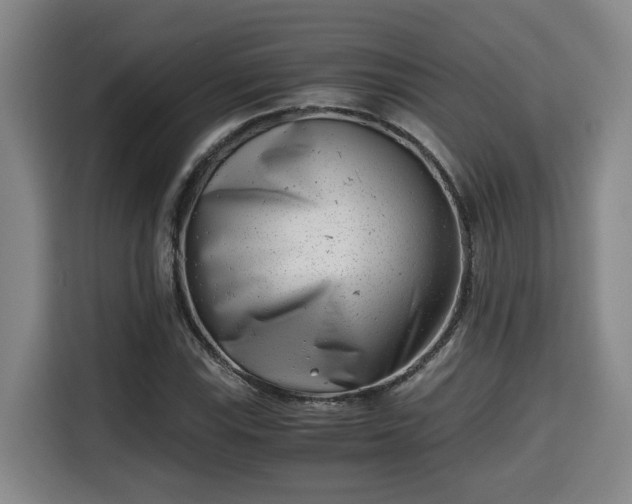 X0000115681115200911191048