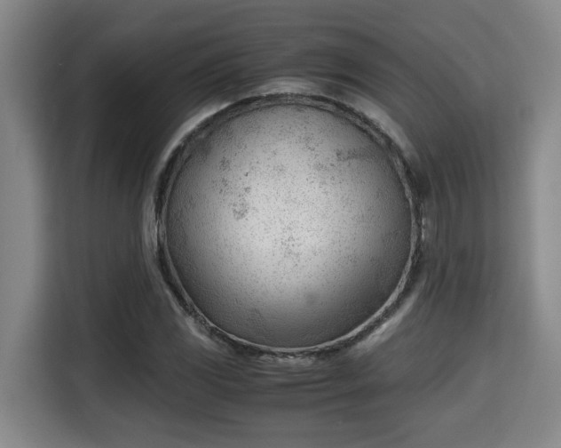 X0000115681117200911191048