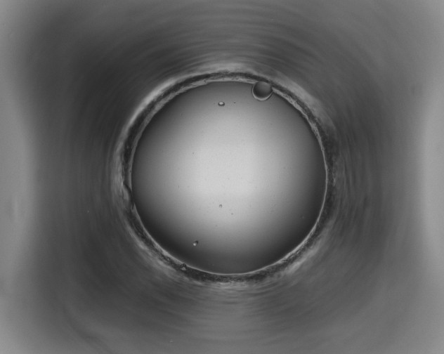 X0000115681118200911191048