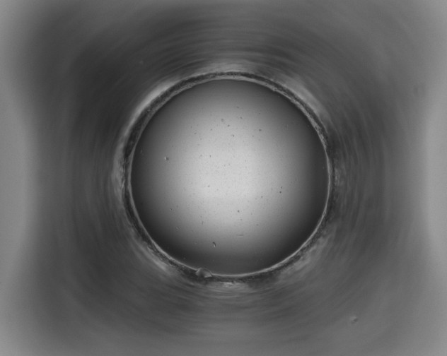 X0000115681119200911191048