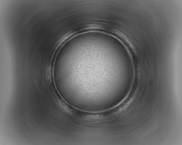 X0000115681121200911191048