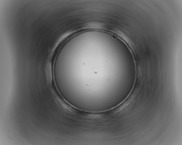 X0000115681123200911191048