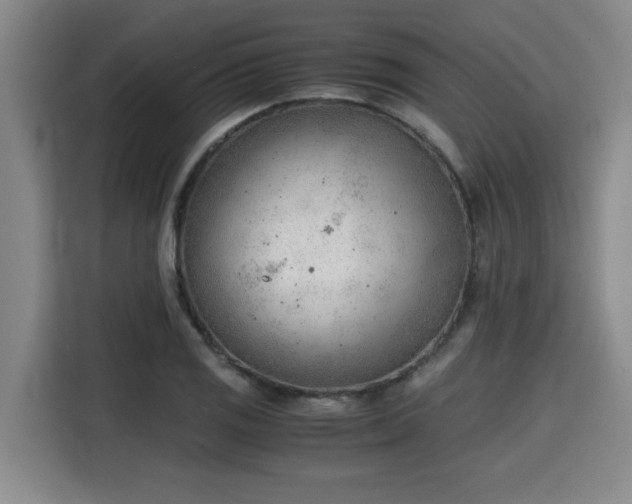 X0000115681125200911191048