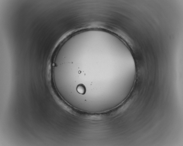 X0000115681126200911191048