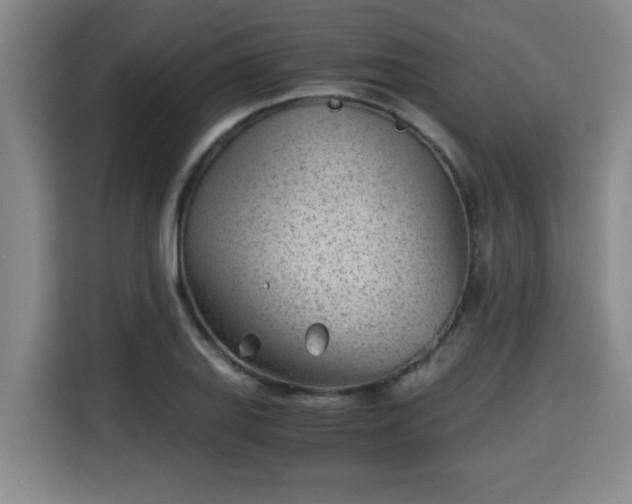 X0000115681127200911191048