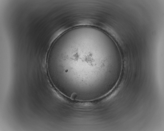 X0000115681129200911191048