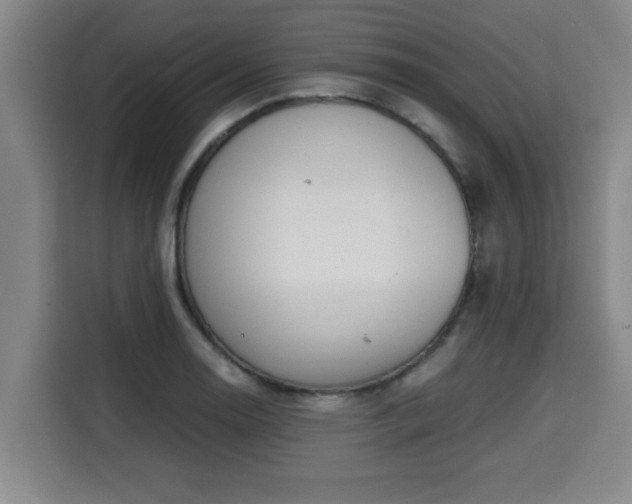 X0000115681130200911191048