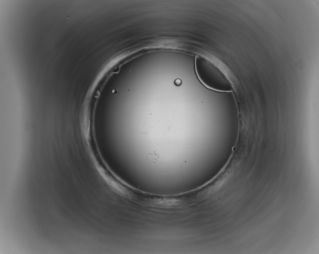 X0000115681131200911191048