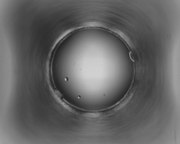 X0000115681134200911191048