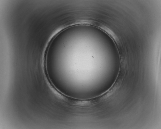 X0000115681135200911191048