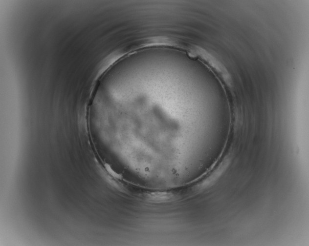 X0000115681137200911191048