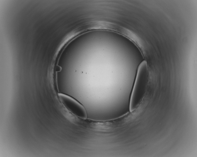 X0000115681138200911191048