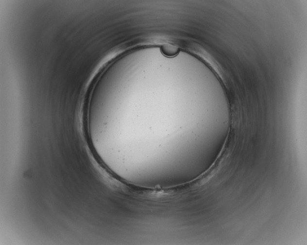 X0000115681139200911191048