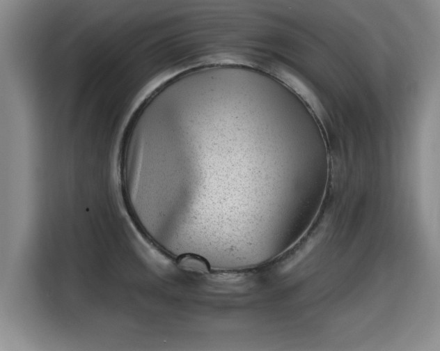 X0000115681141200911191048