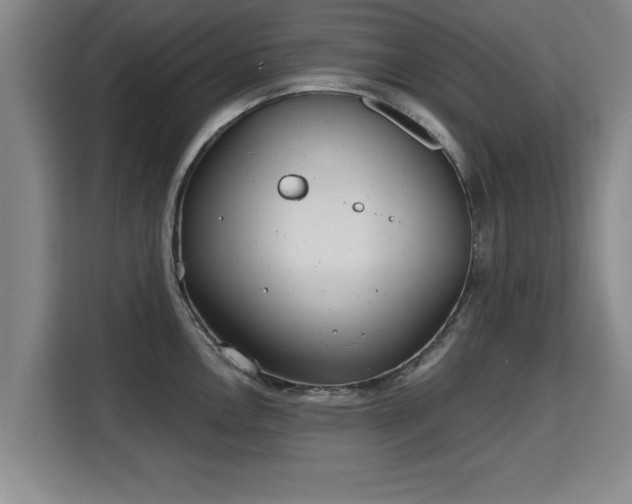 X0000115681146200911191049