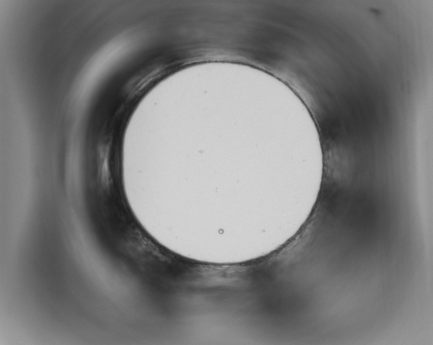 X0000115681150200911191049