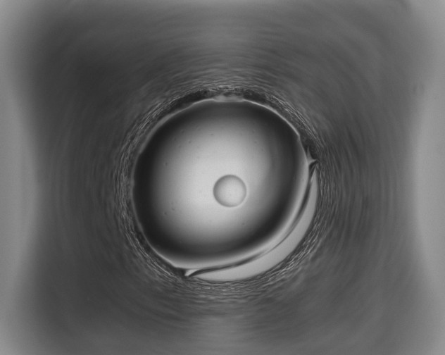 X0000115681153200911191048