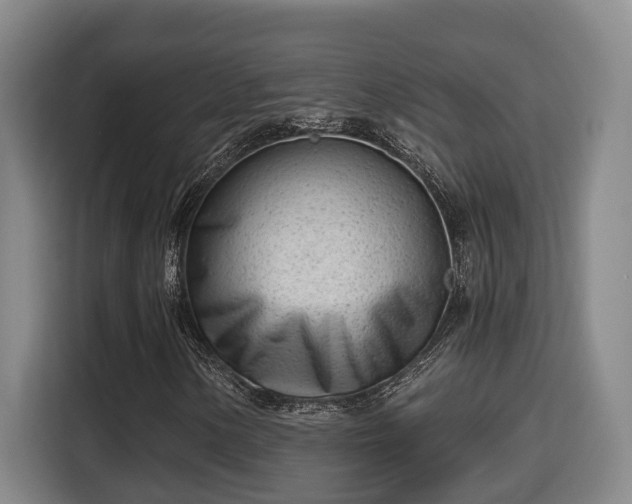 X0000115681154200911191048