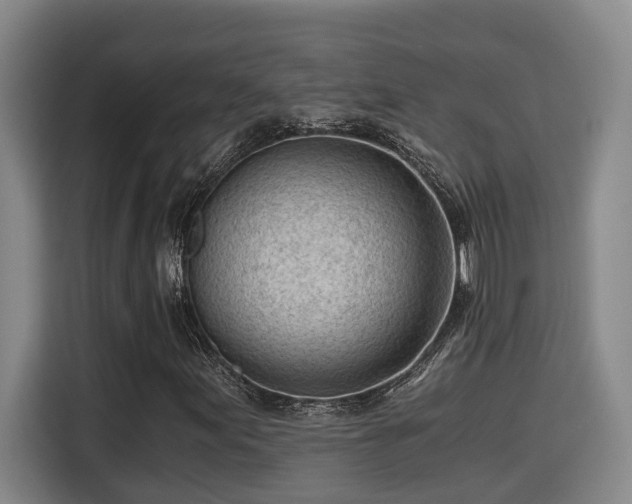 X0000115681155200911191048