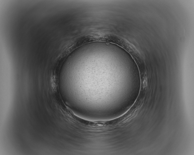 X0000115681156200911191048